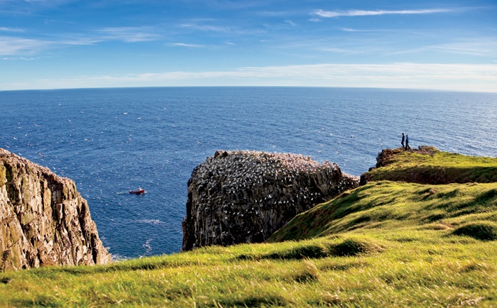 Cap St-Mary's