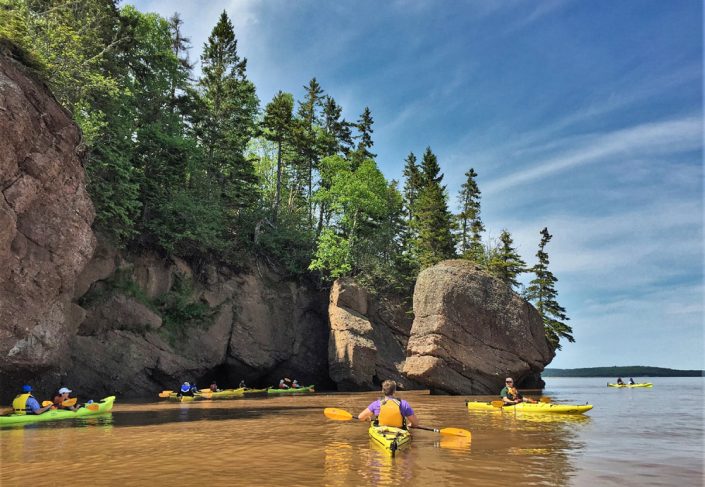 Hopewell Rocks : quoi faire en 1 jour ? | Blog voyageraucanada.com