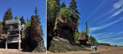 Hopewell Rocks : quoi faire en 1 jour ? | voyageraucanada.com