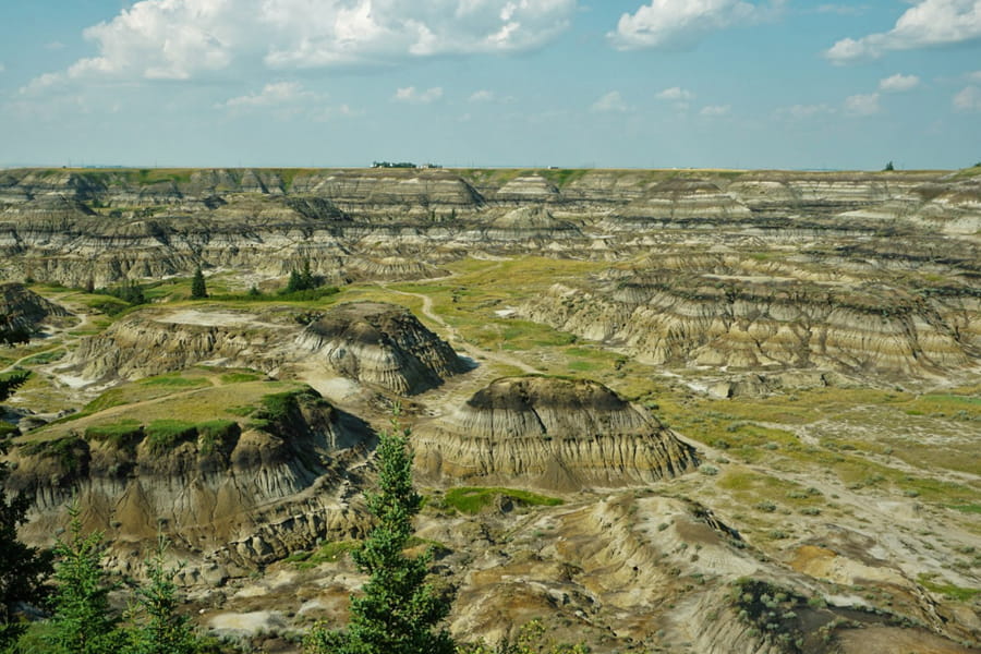 Quelle province canadienne est considérée comme le véritable royaume des dinosaures au Canada ?