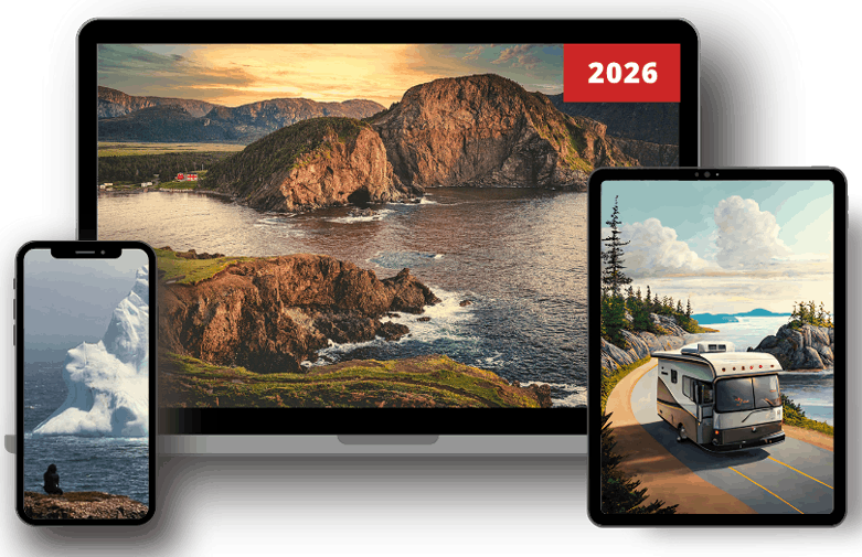 Guide Terre-Neuve en VR sur ordi, tablette et téléphone Guide Terre-Neuve en VR sur ordi, tablette et téléphone