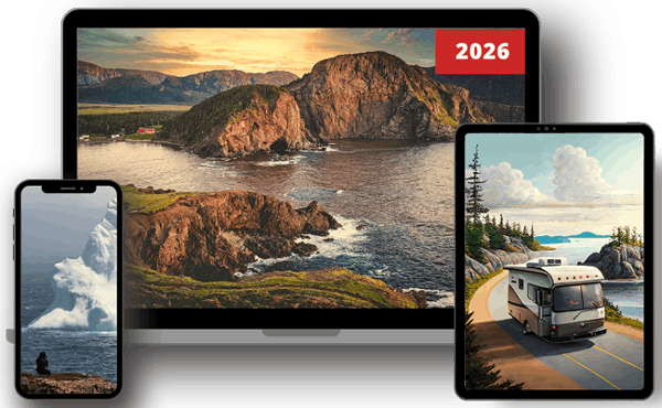 Guide Terre-Neuve en Vr 2026