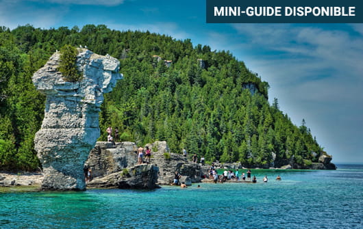 Formation rocheuse à Flowerpot Island, Ontario
