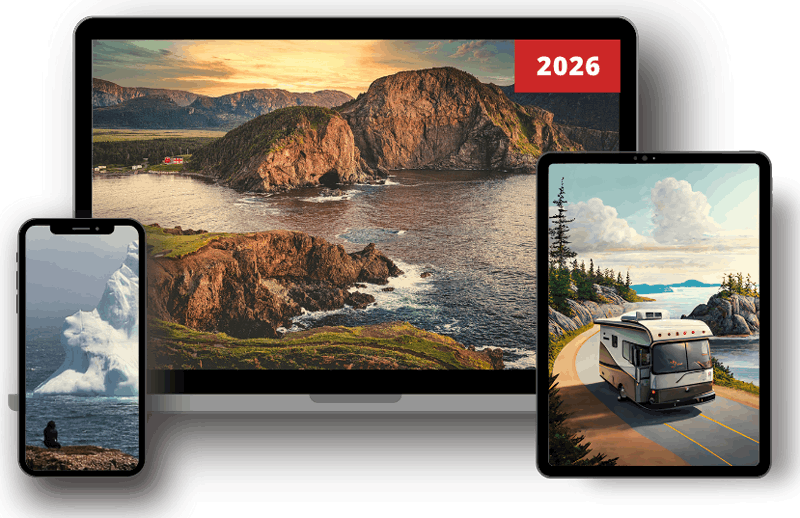 Guide Terre-Neuve en VR sur ordi, tablette et téléphone Guide Terre-Neuve en VR sur ordi, tablette et téléphone